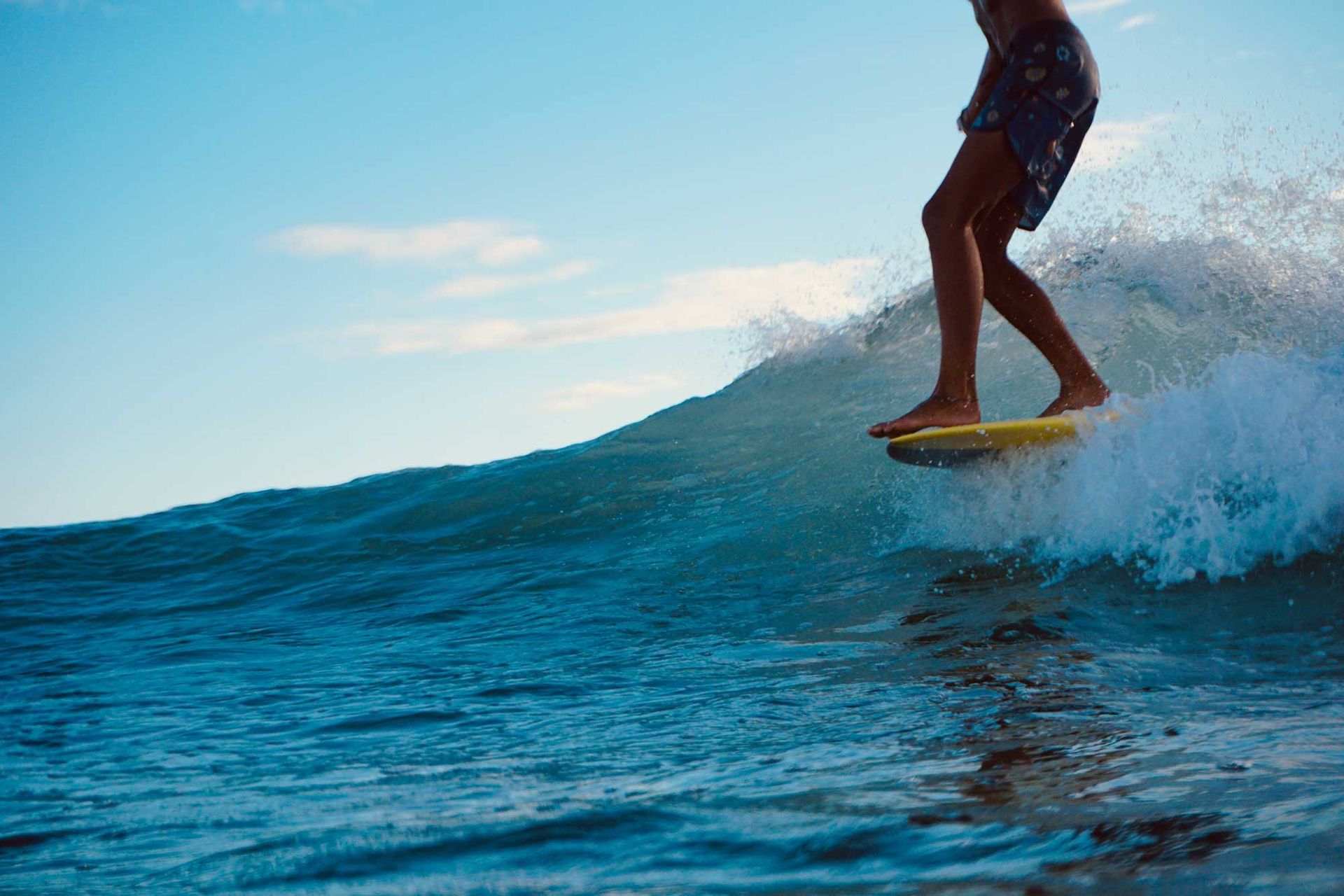 Warm Winds Longboards 2022